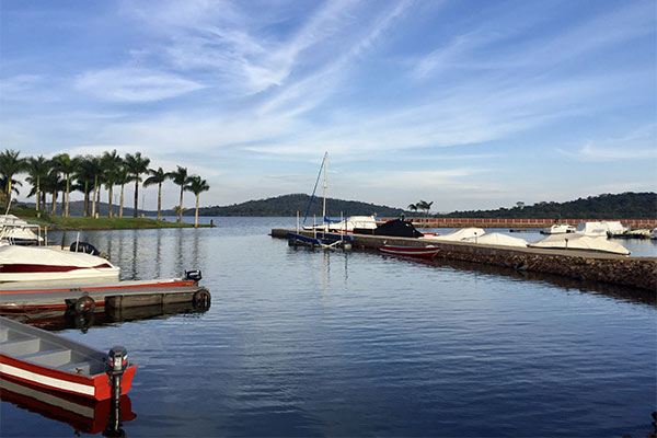  Tranquil marina scene with boats docked in calm blue water, surrounded by palm trees under a bright blue sky in Entebbe. 